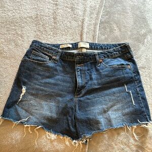 Universal Thread Vintage MIDI Women’s Shorts Size 16